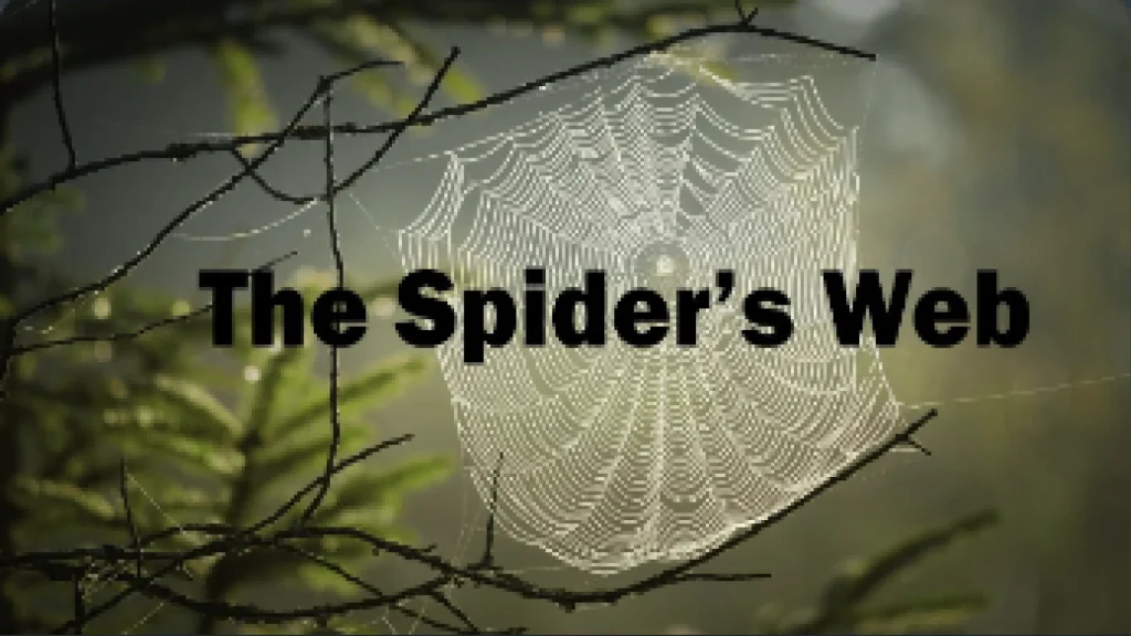 Vlog – The Spider’s Web. 1 Vlog – The Spiders Web 1
